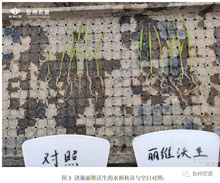 1662359450608039.png 640 (20).png