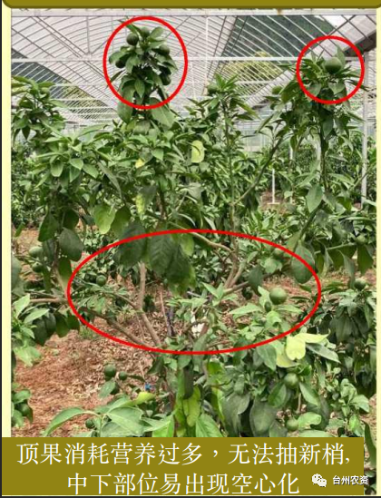 臺州農資 臺州農資