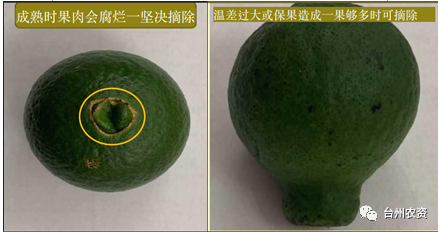 臺州農資 臺州農資