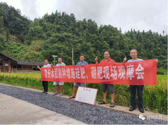 臺州農(nóng)資 臺州農(nóng)資